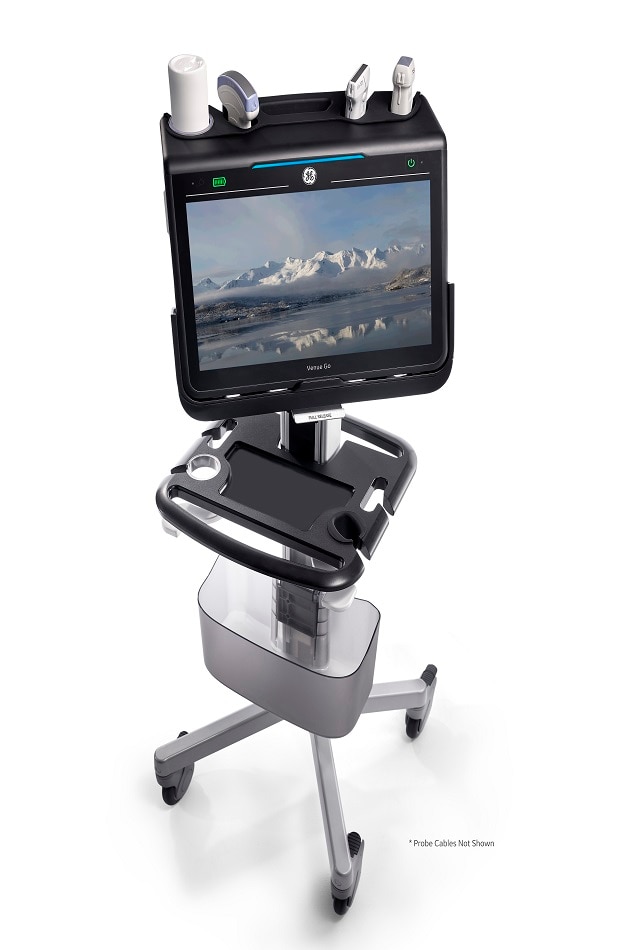 Venue Go GE Healthcare