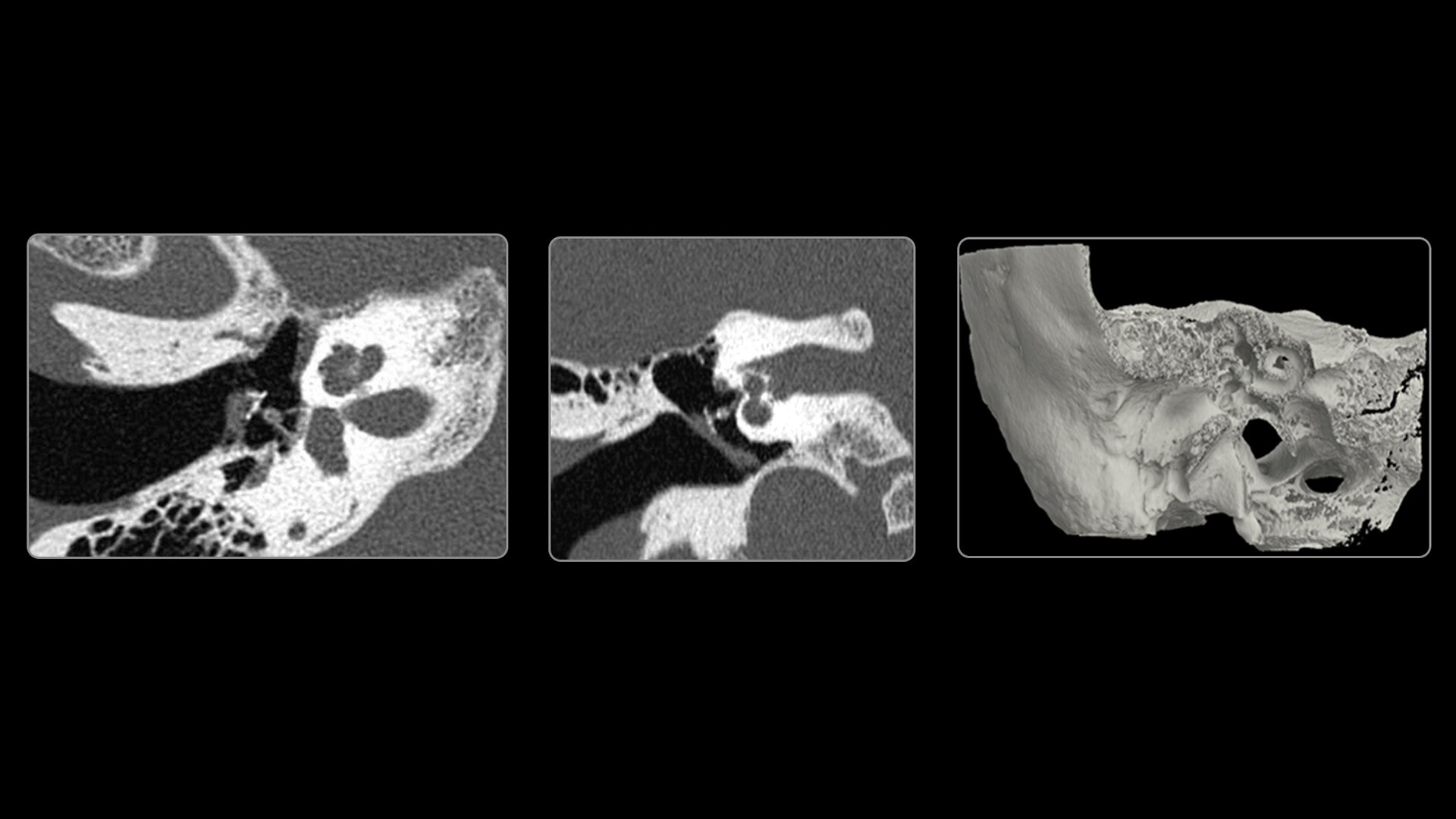 Product Media Carousel Image