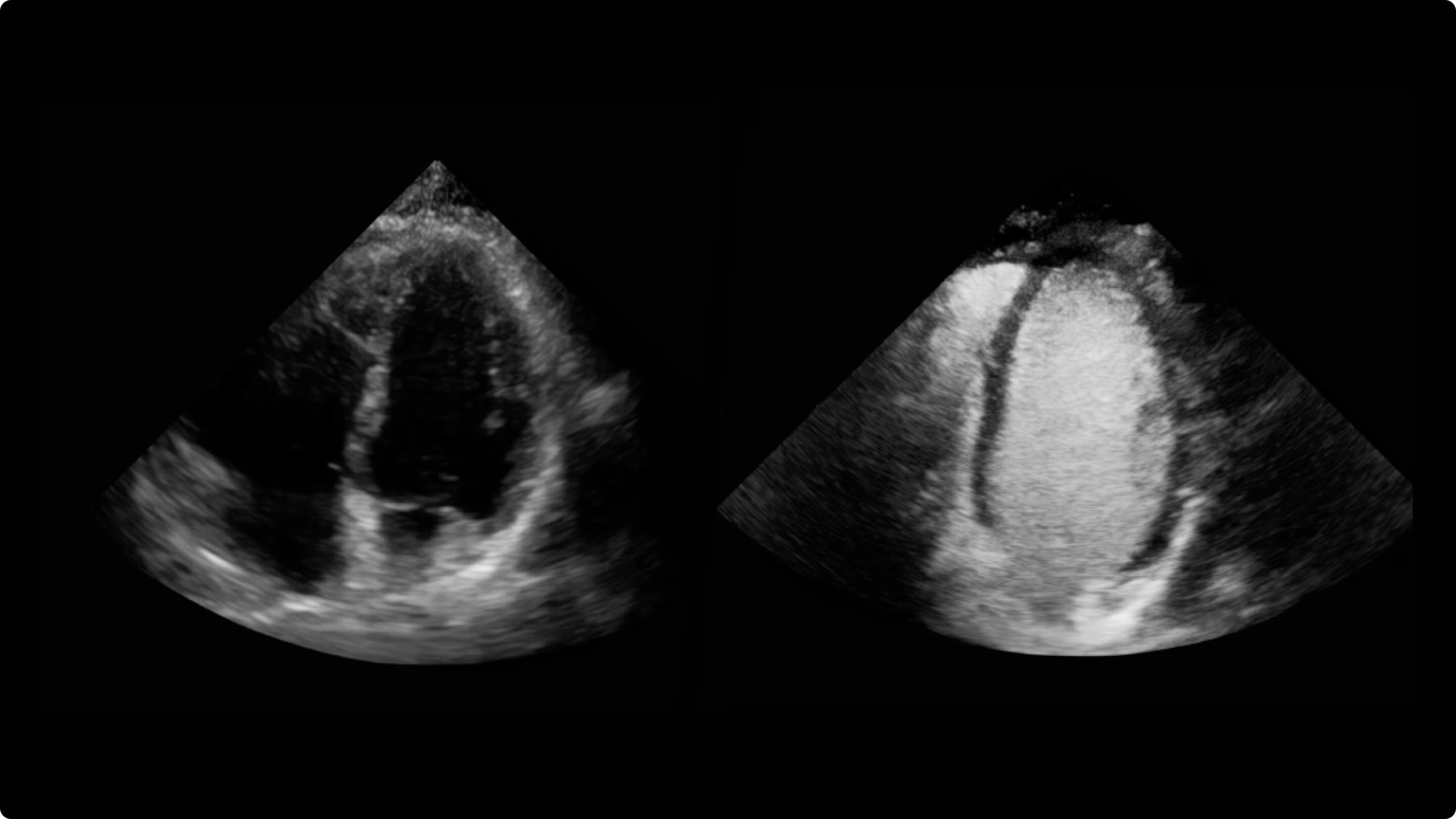Product Media Carousel Image