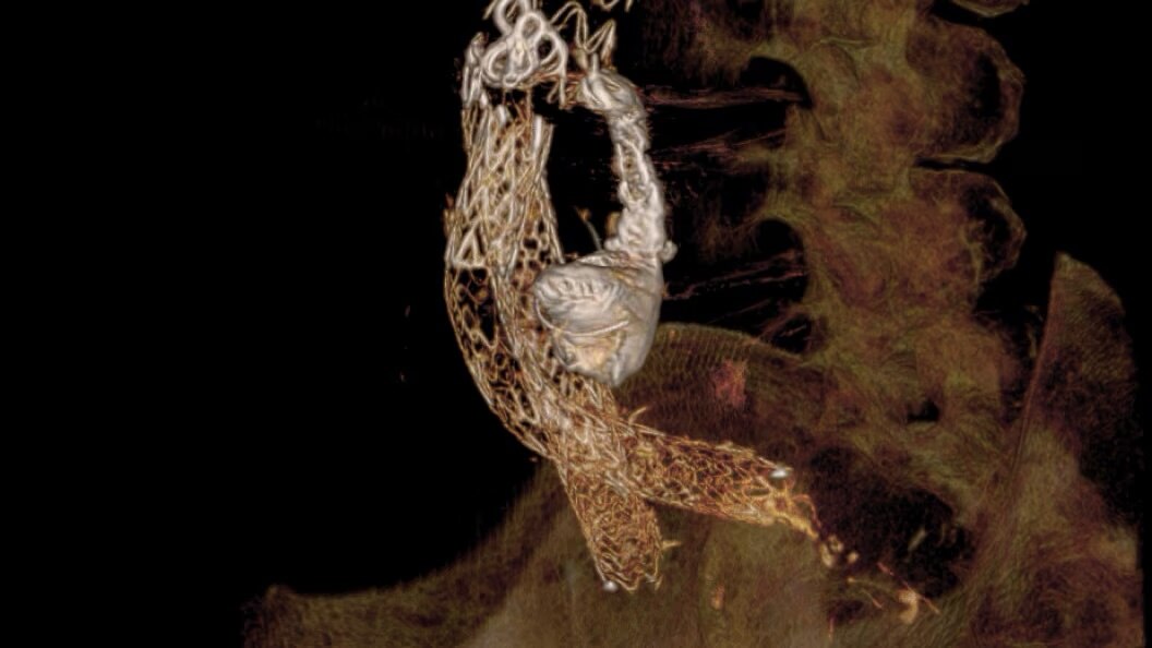 Product Media Carousel Image