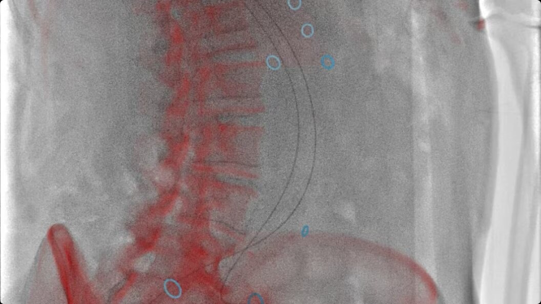 Product Media Carousel Image