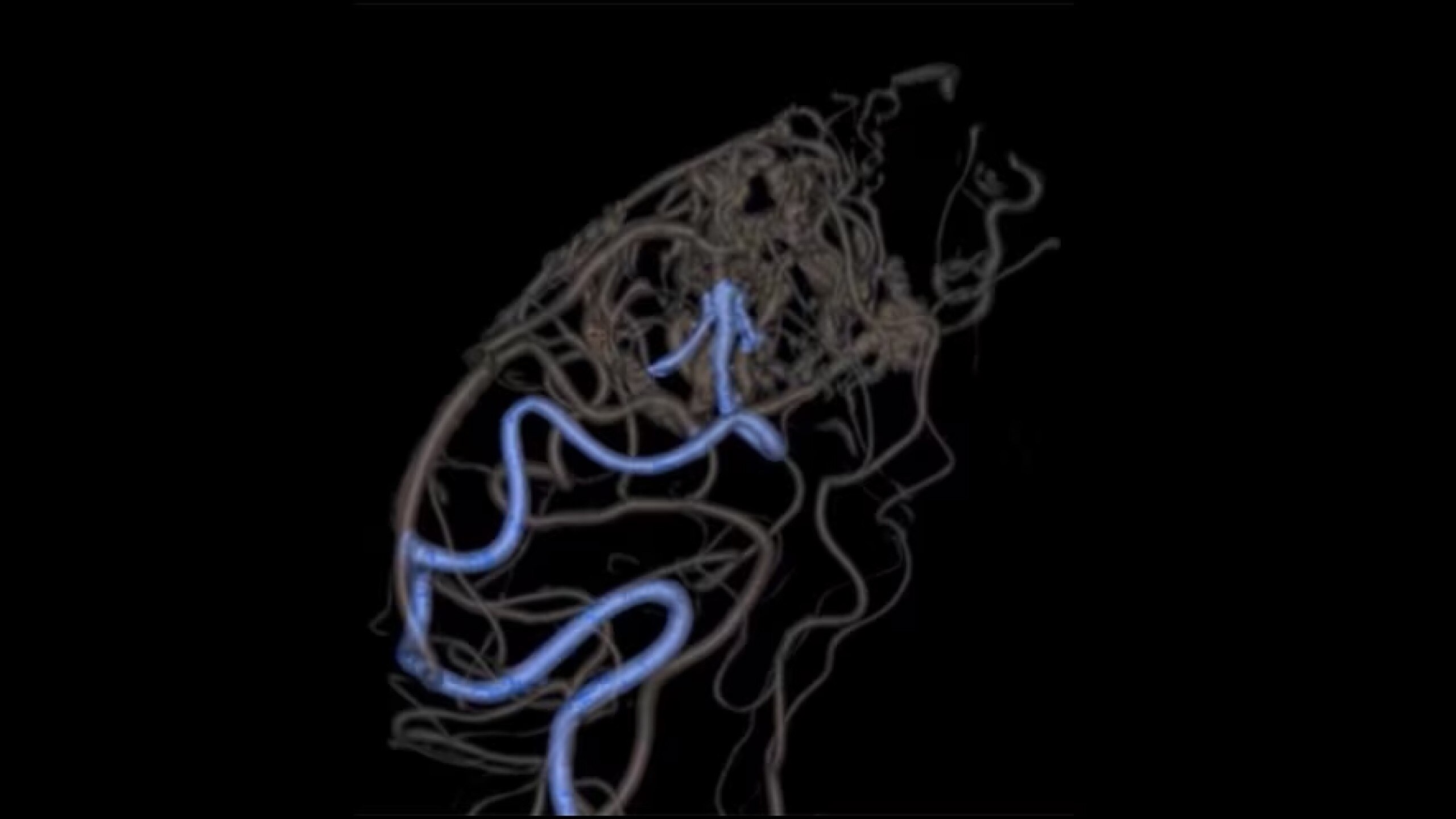 Product Media Carousel Image