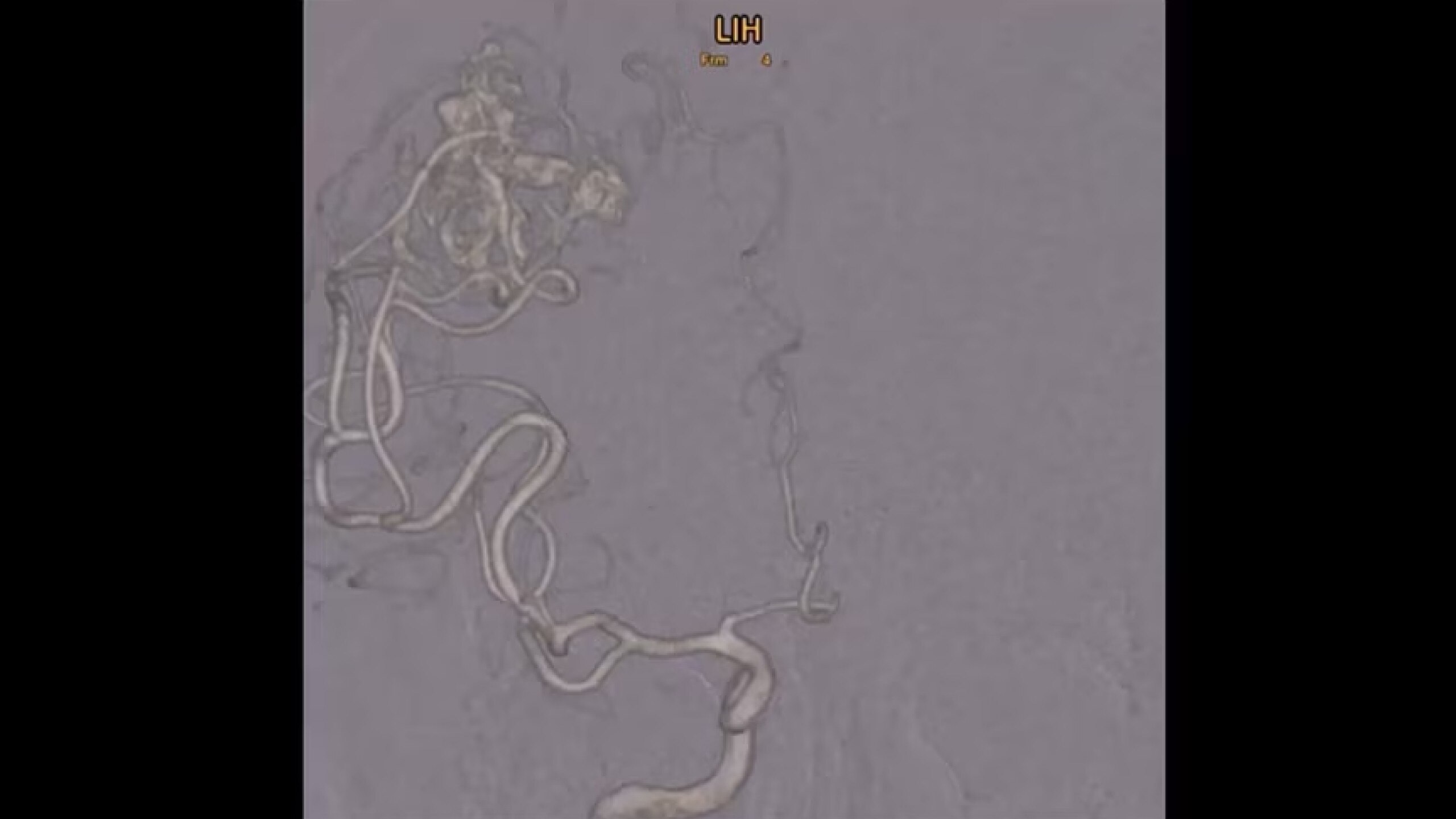 Product Media Carousel Image