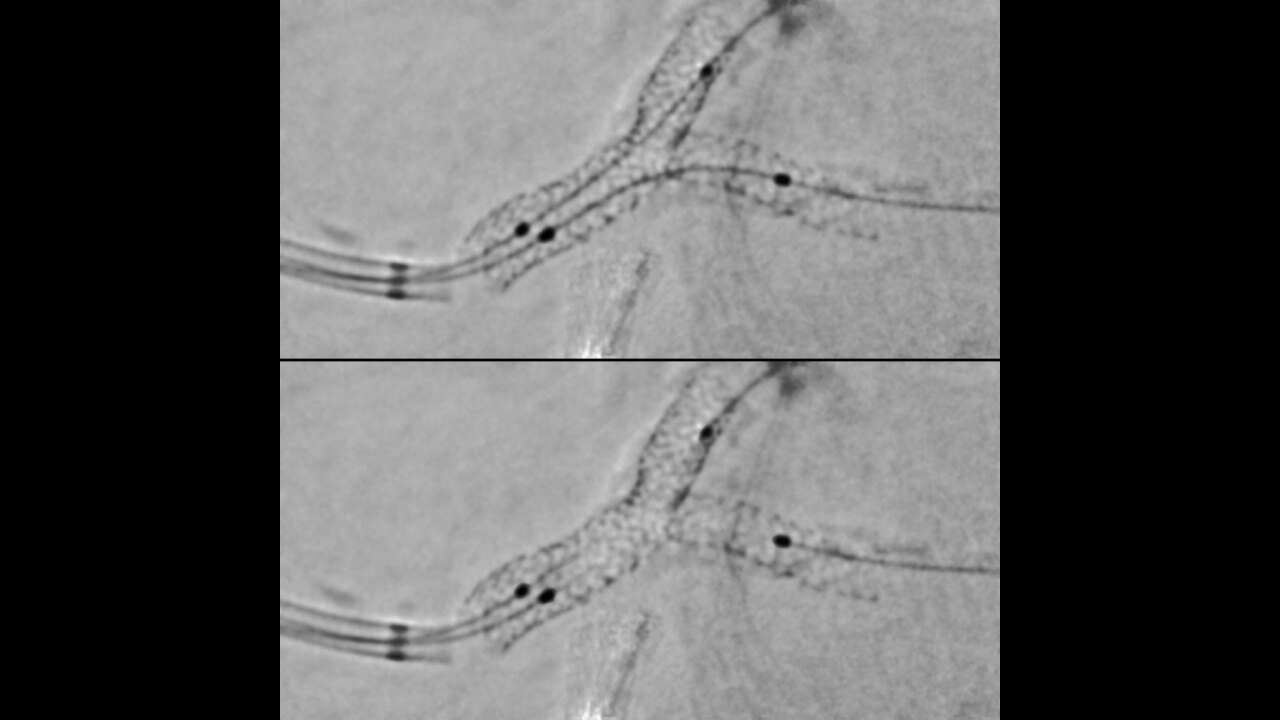 Product Media Carousel Image