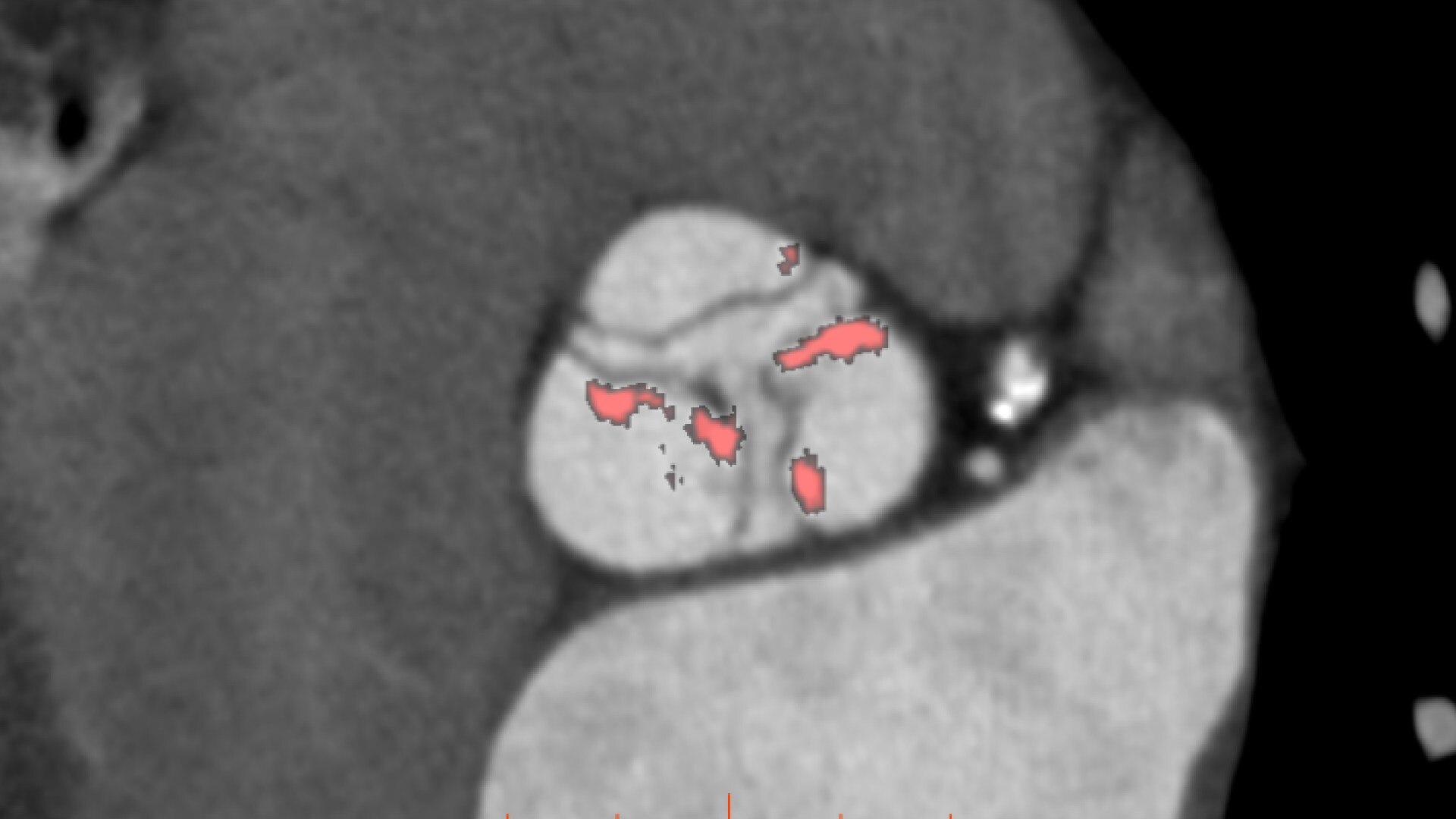 Product Media Carousel Image