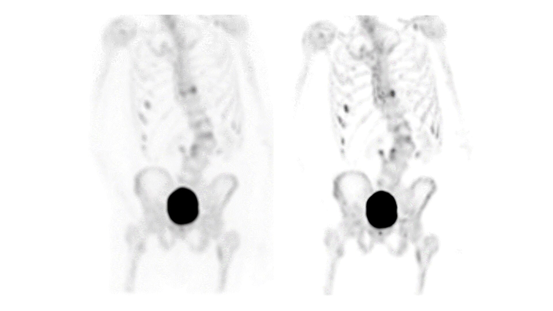 Product Media Carousel Image