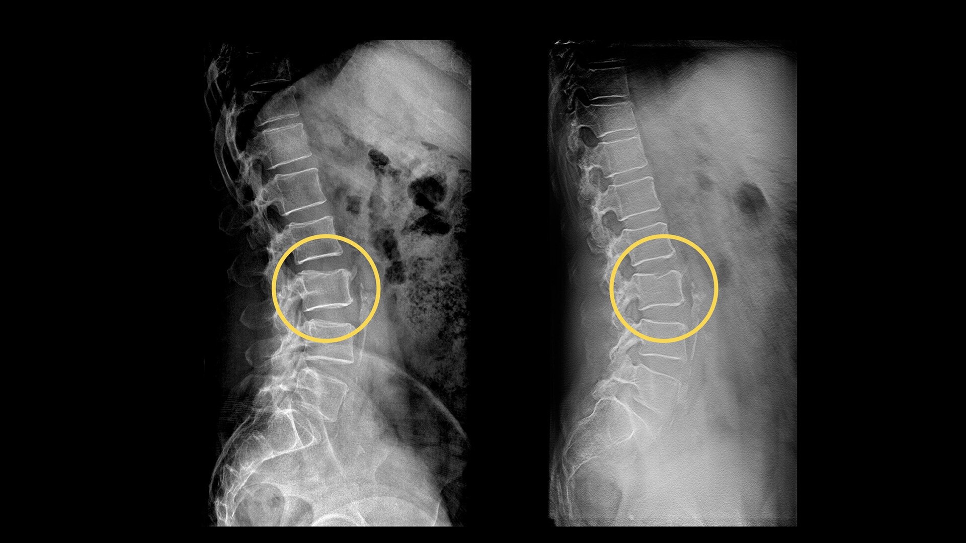 Product Media Carousel Image