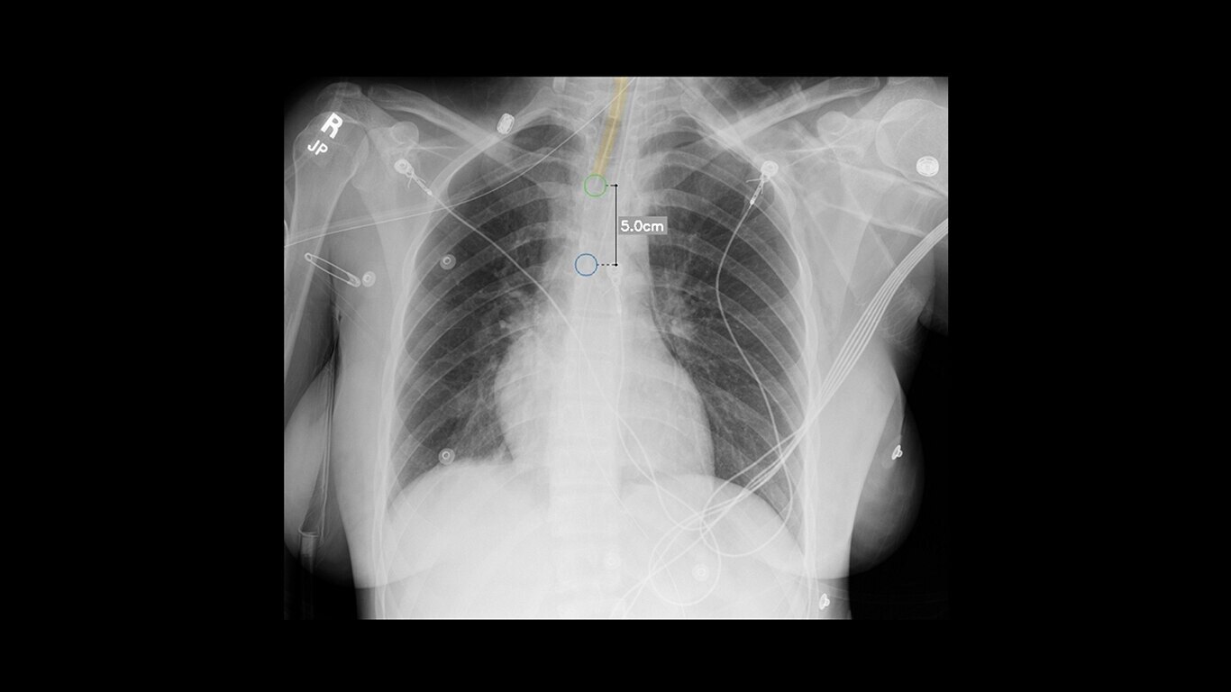 Product Media Carousel Image