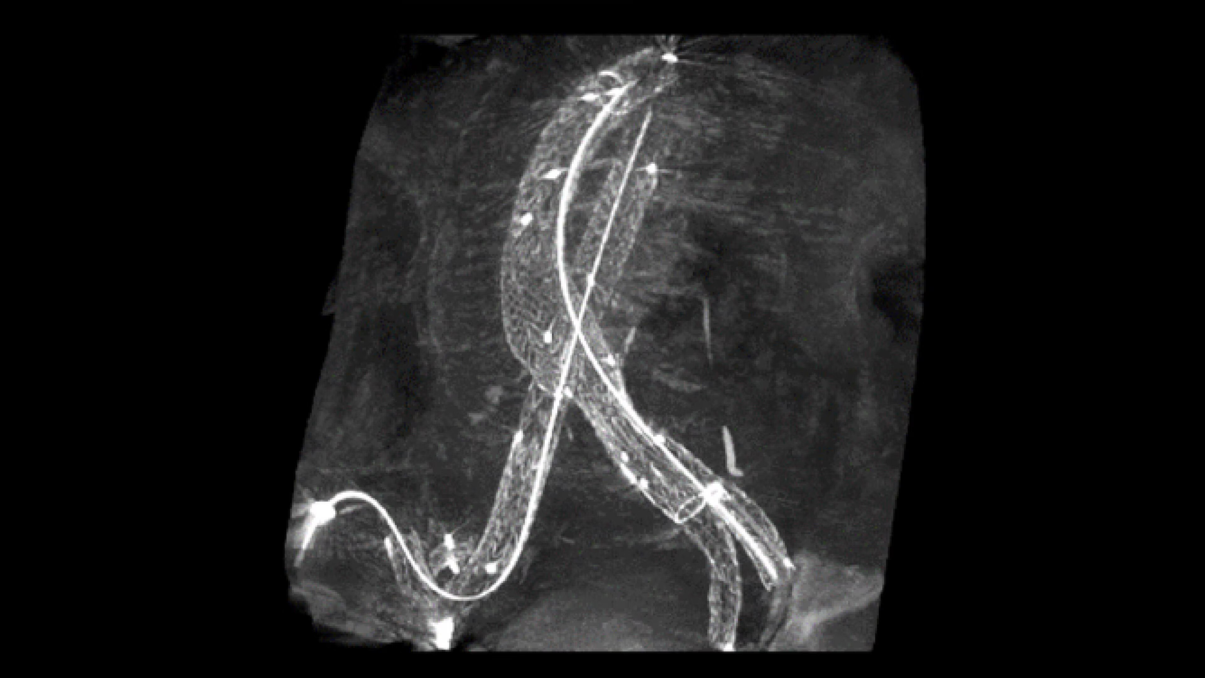 Product Media Carousel Image