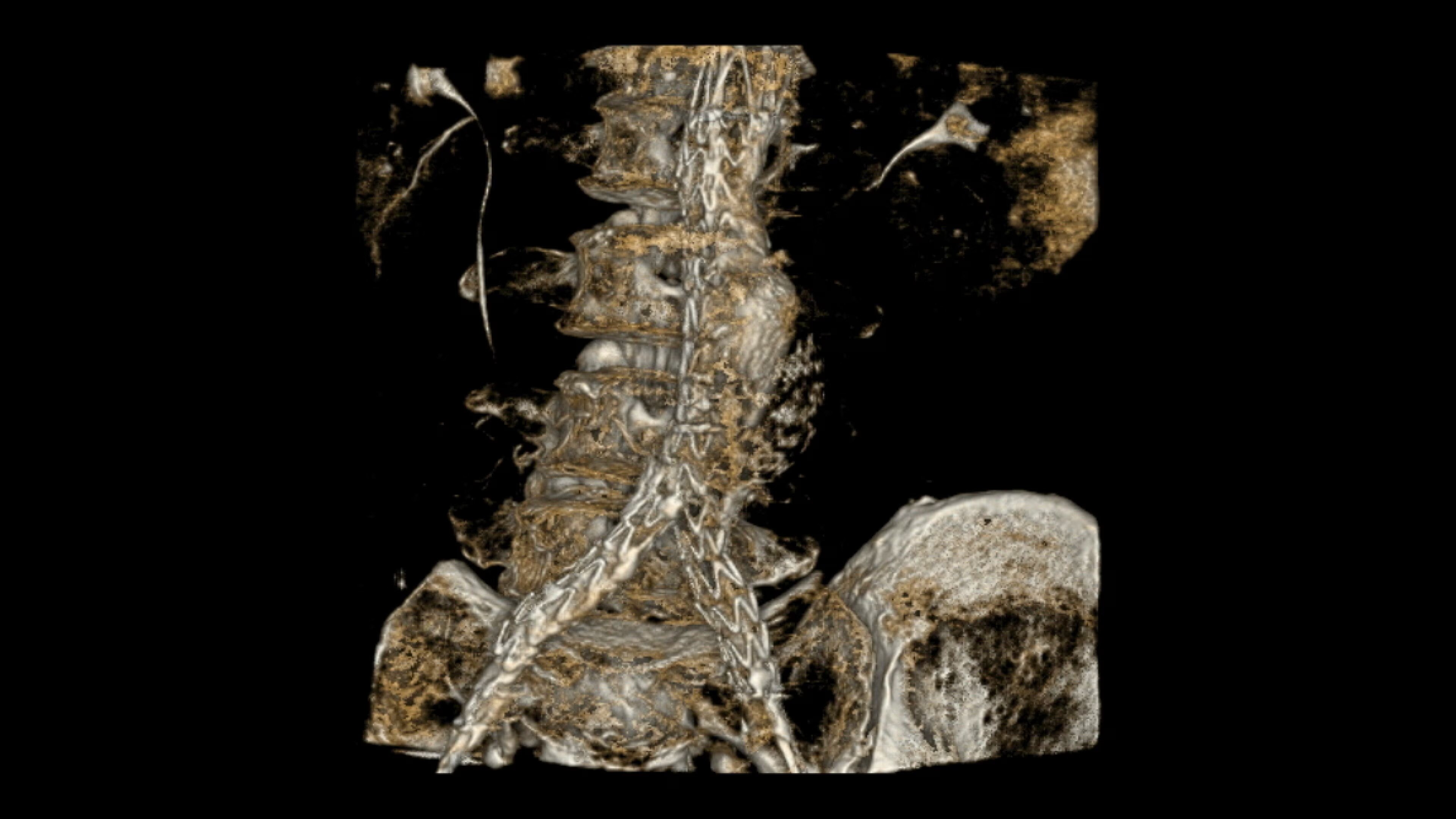 Product Media Carousel Image