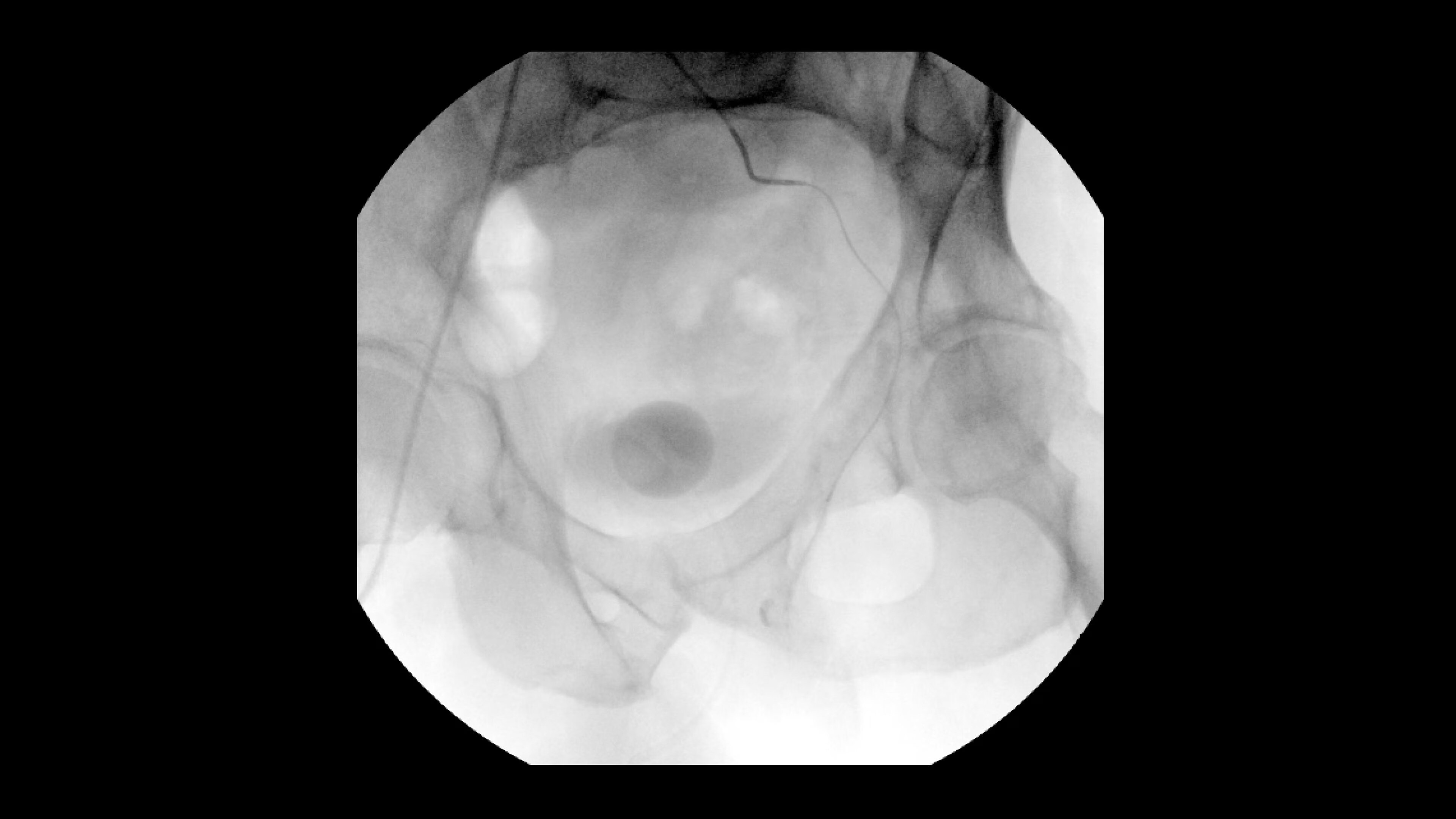 Product Media Carousel Image