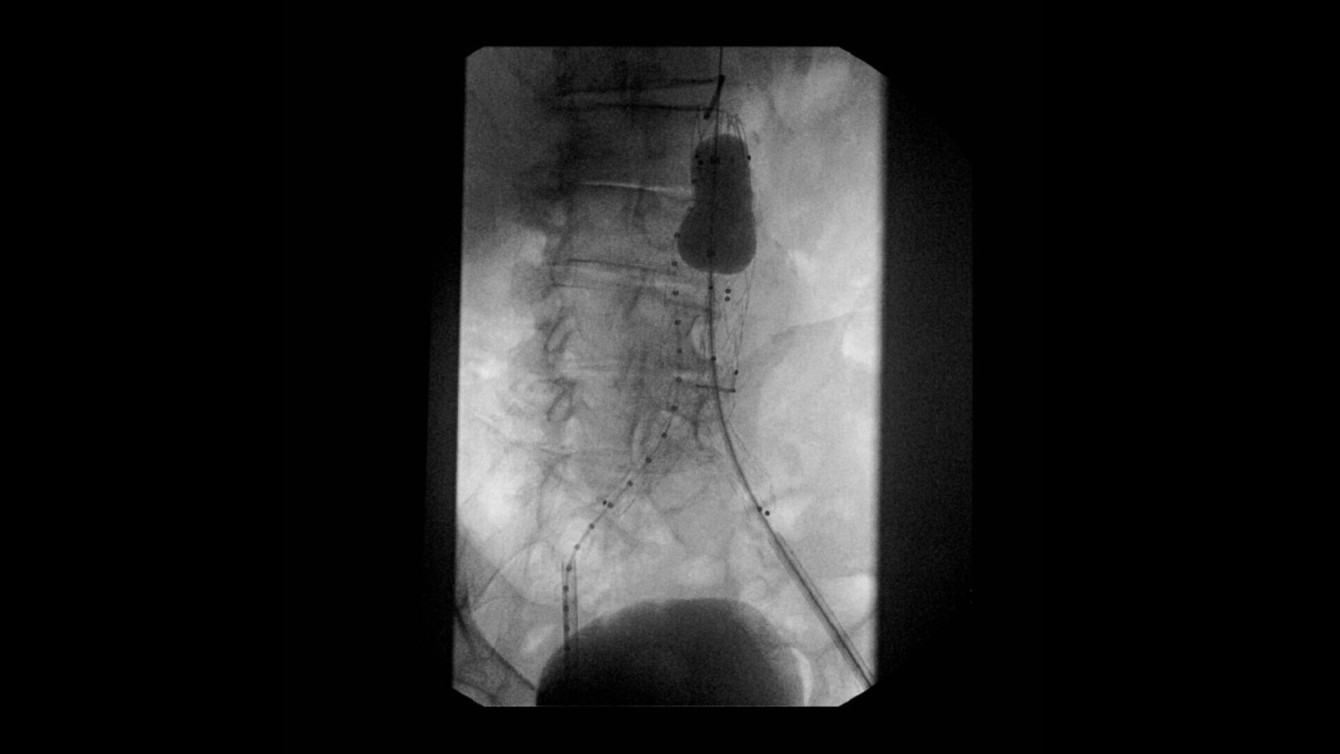 Product Media Carousel Image