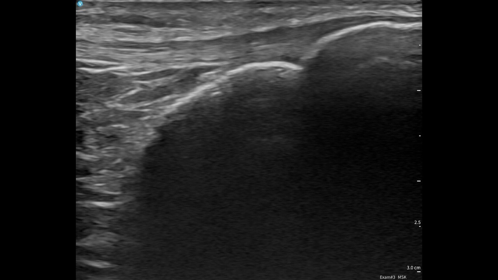 Product Media Carousel Image