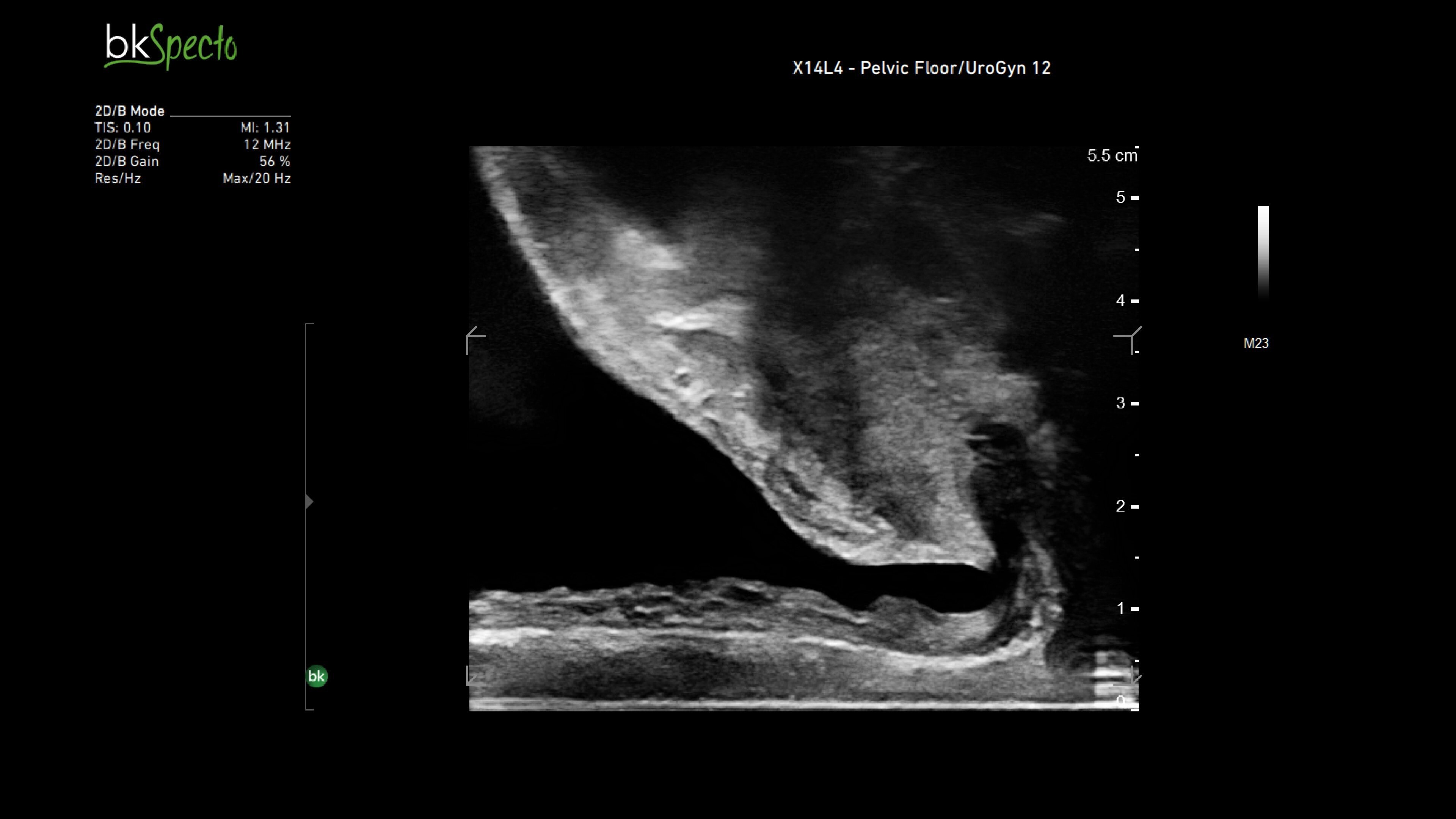 Product Media Carousel Image