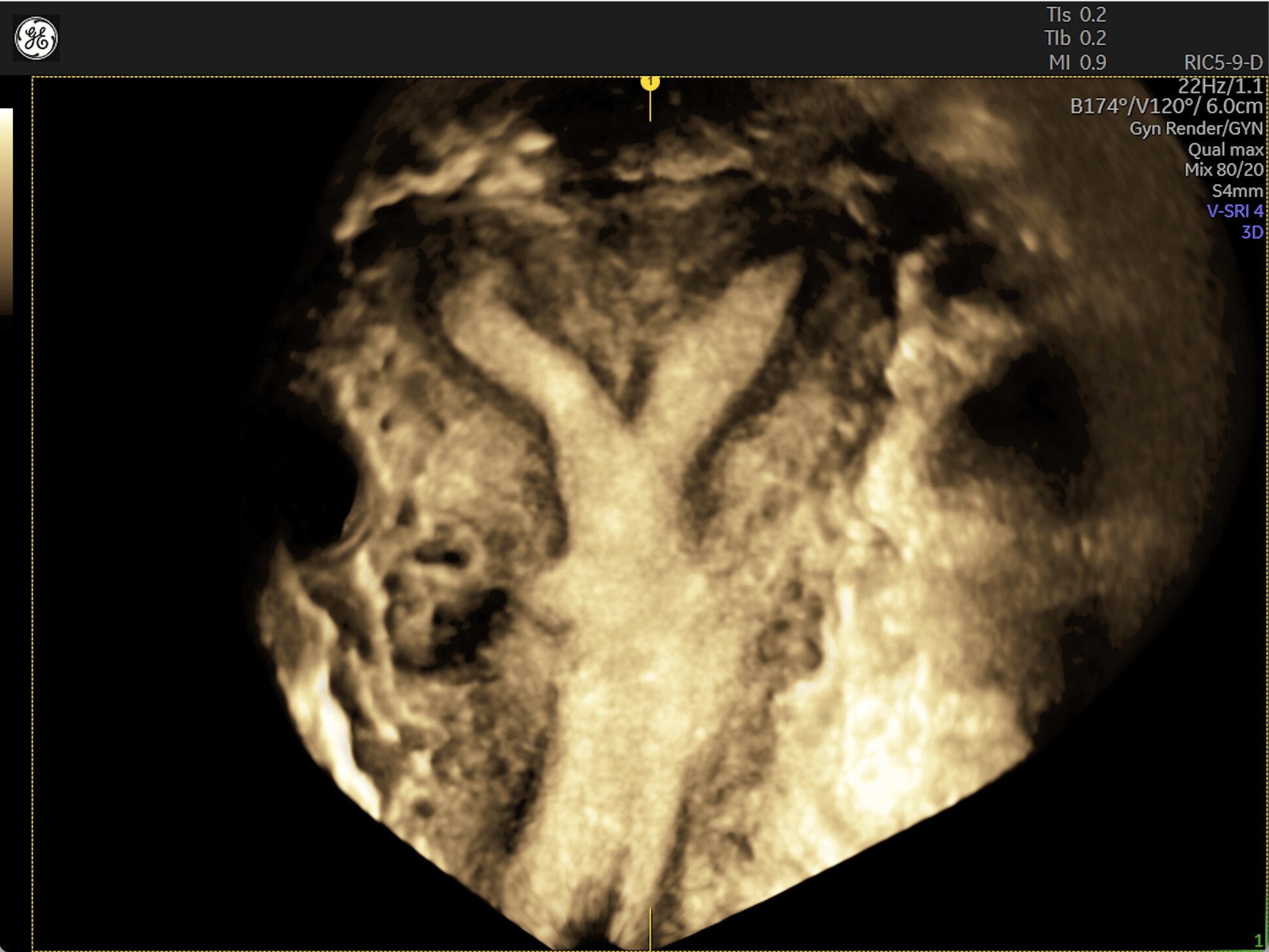 Product Media Carousel Image