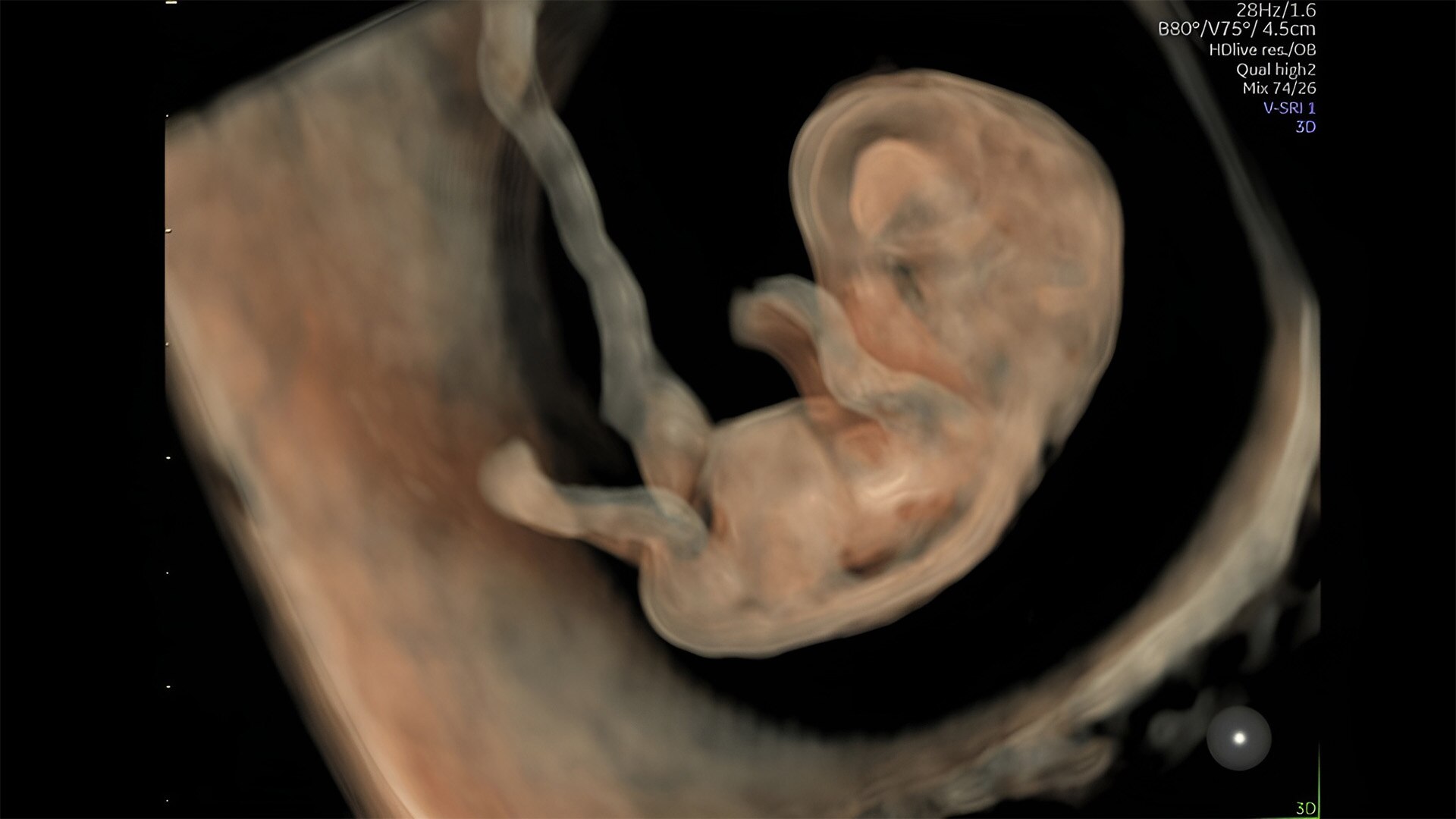 Product Media Carousel Image