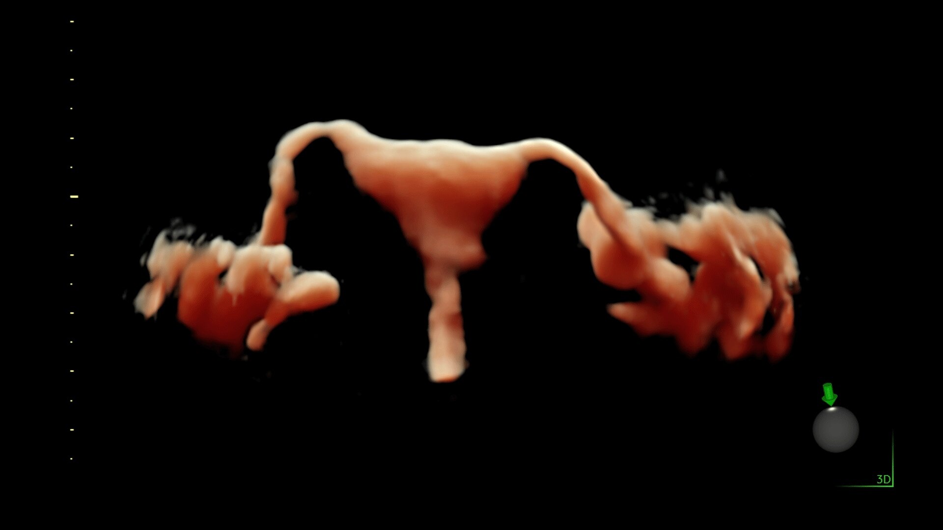 Product Media Carousel Image