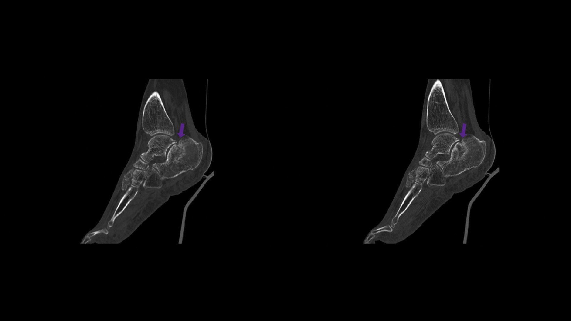 Product Media Carousel Image