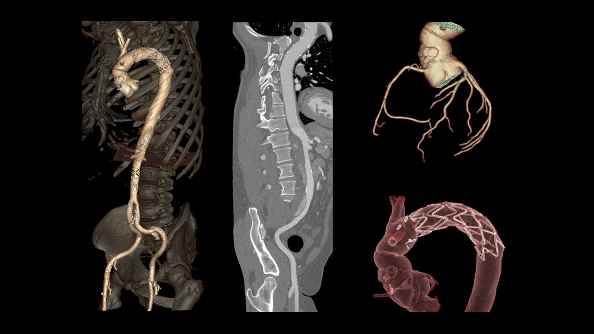 Product Media Carousel Image