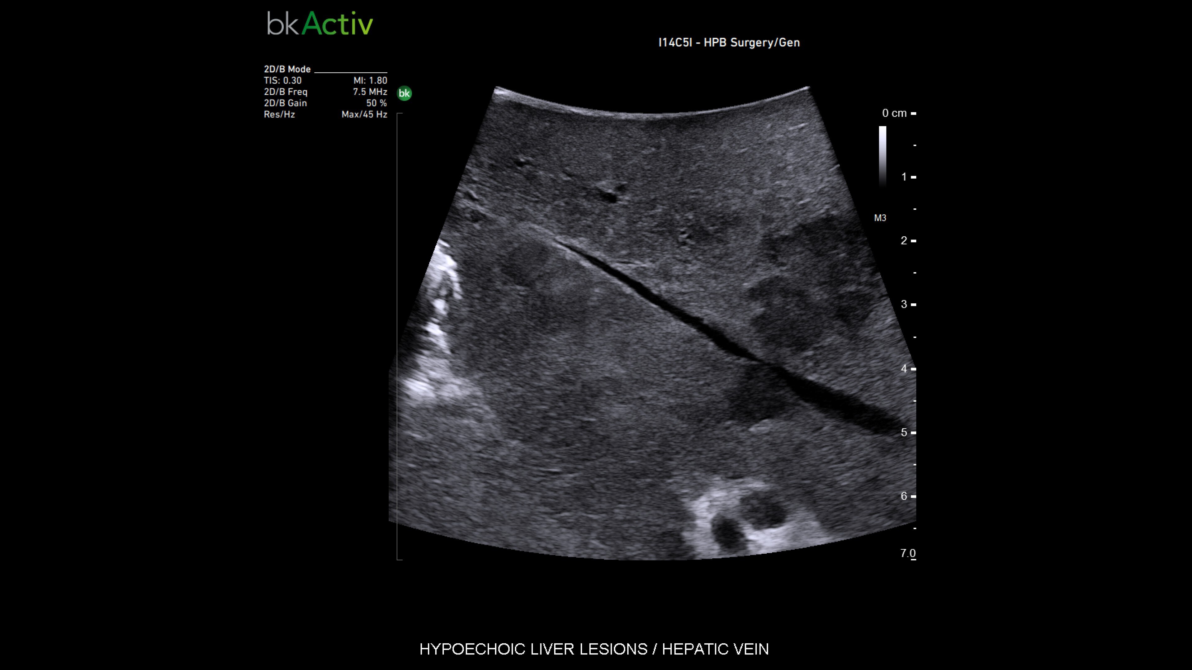 Product Media Carousel Image