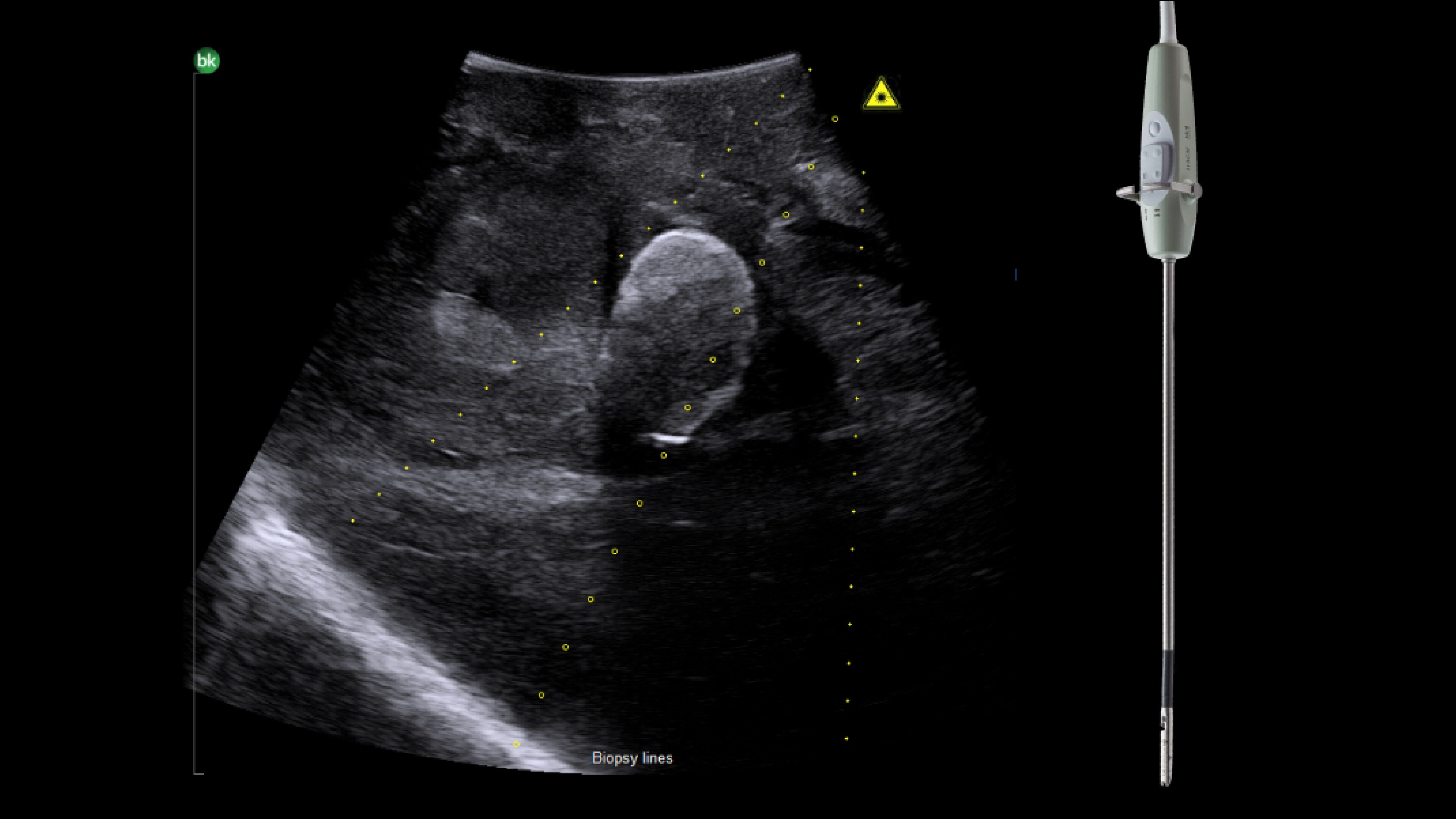 Product Media Carousel Image