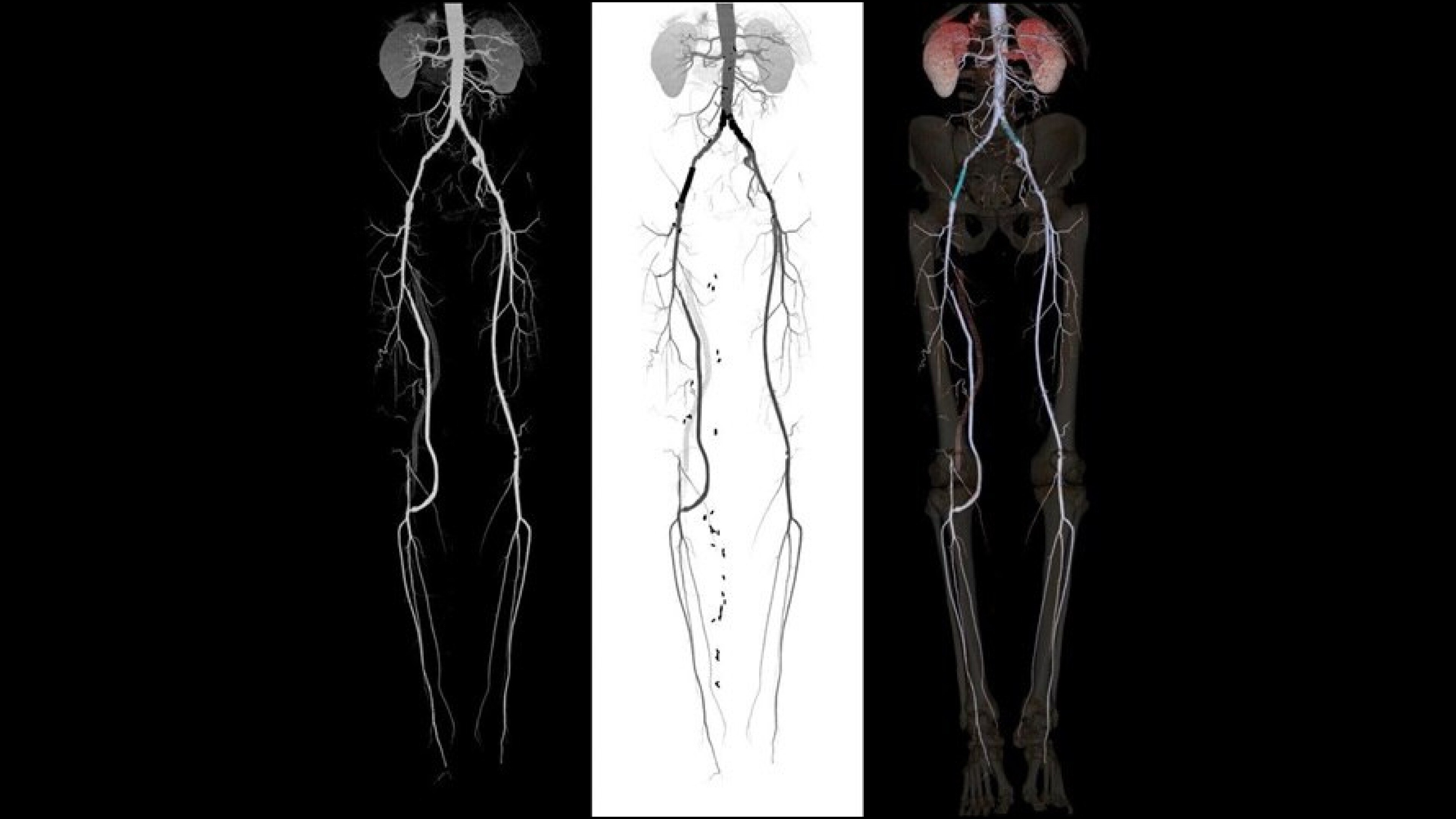 Product Media Carousel Image