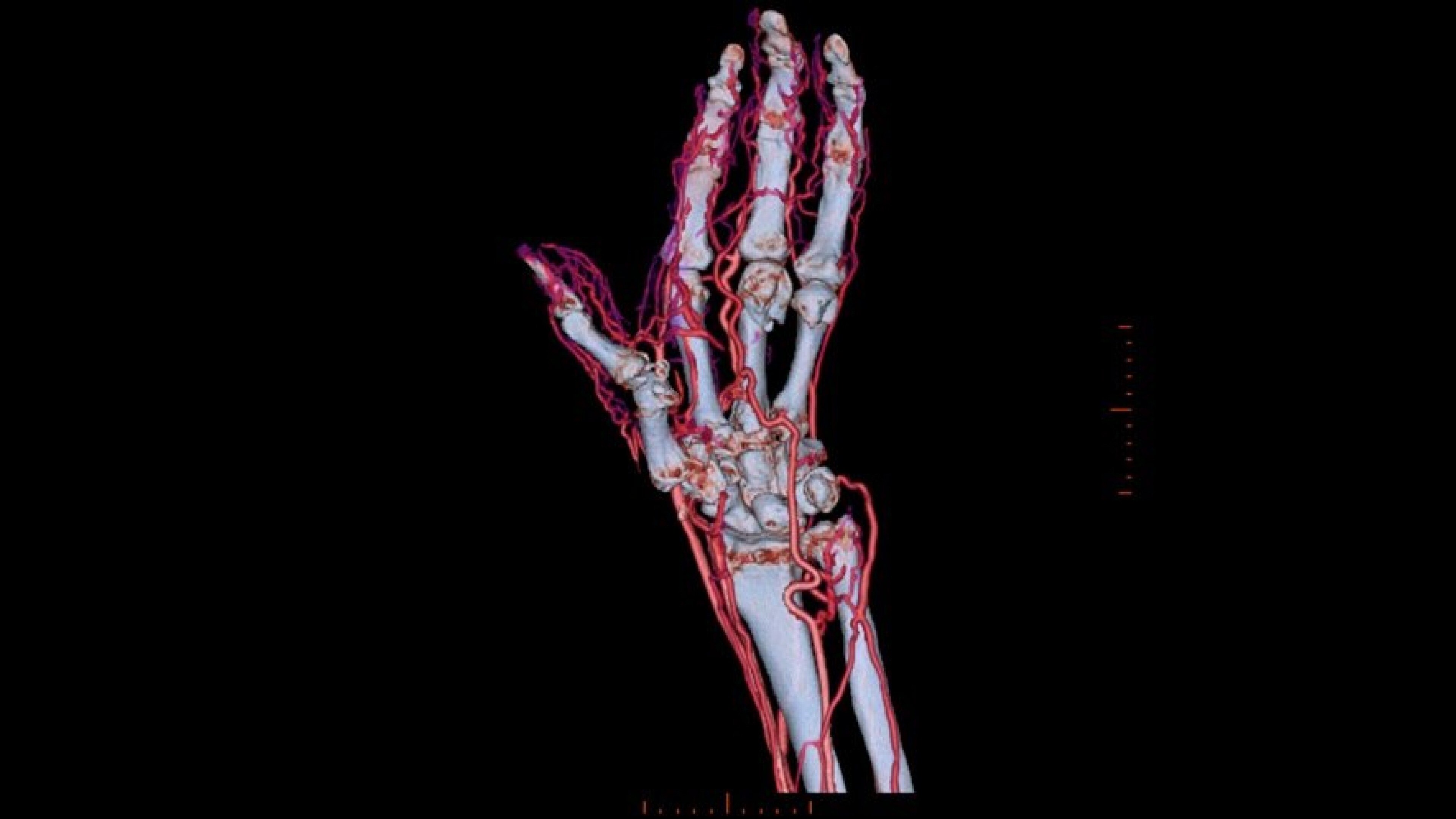 Product Media Carousel Image