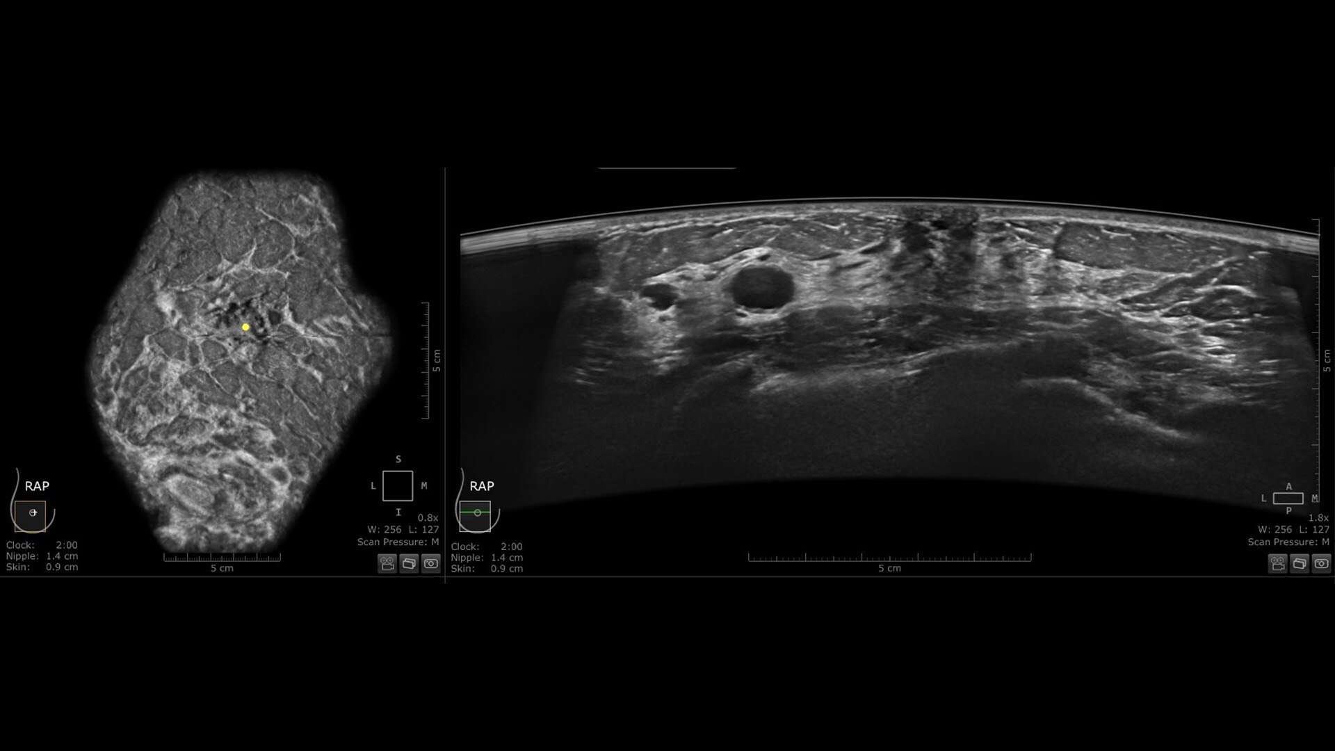 Product Media Carousel Image