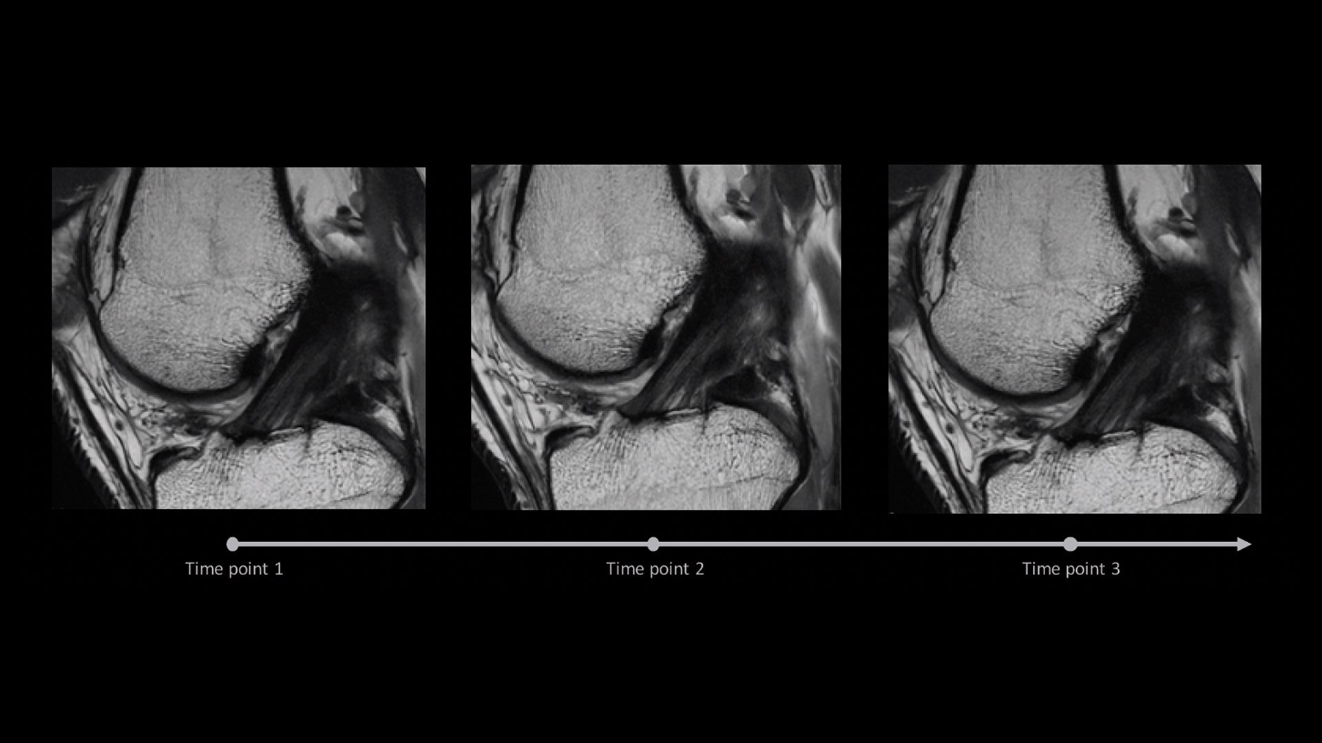 Product Media Carousel Image