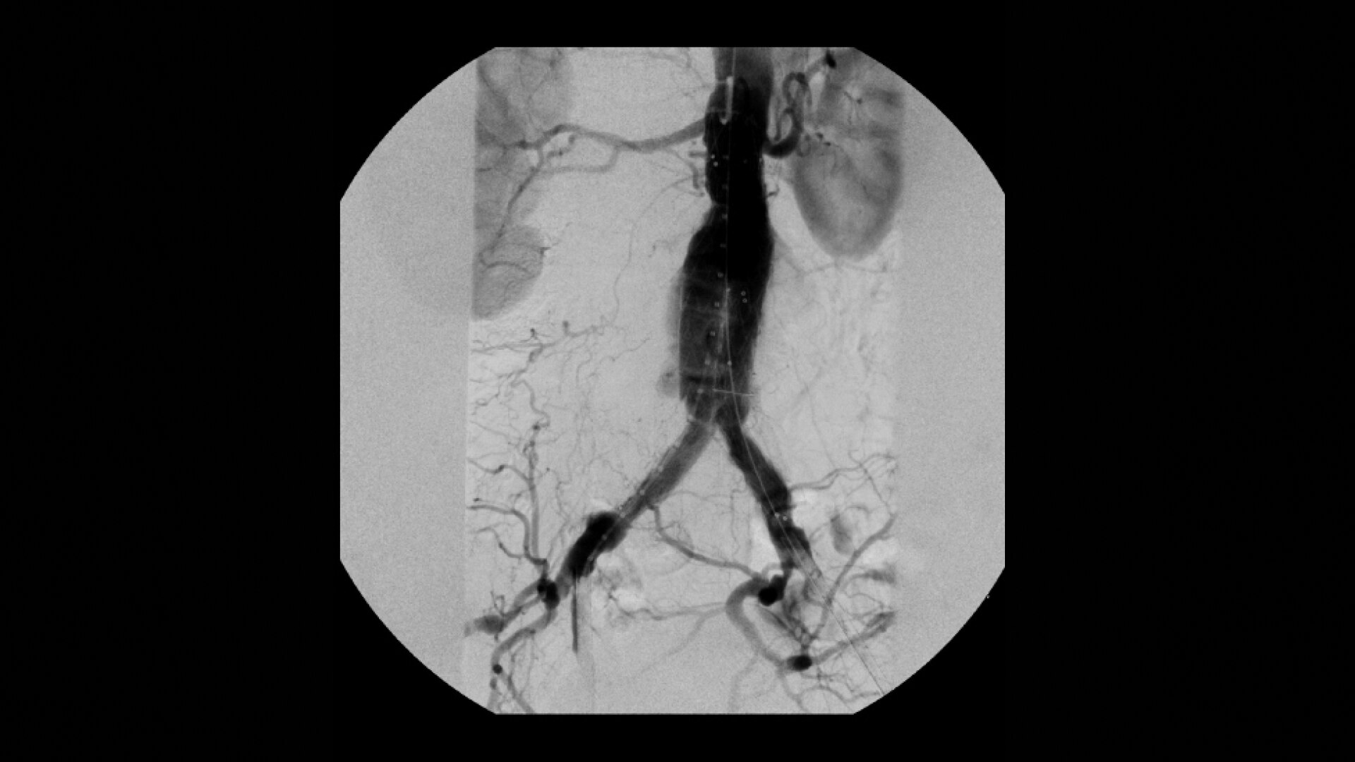 Product Media Carousel Image