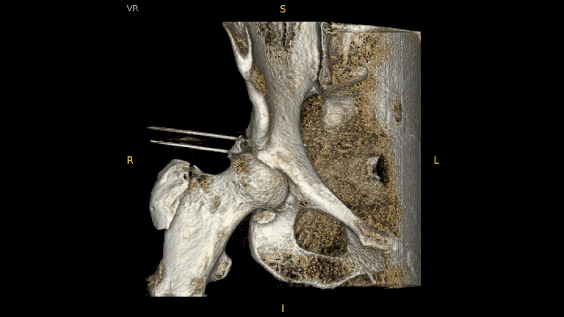 Product Media Carousel Image