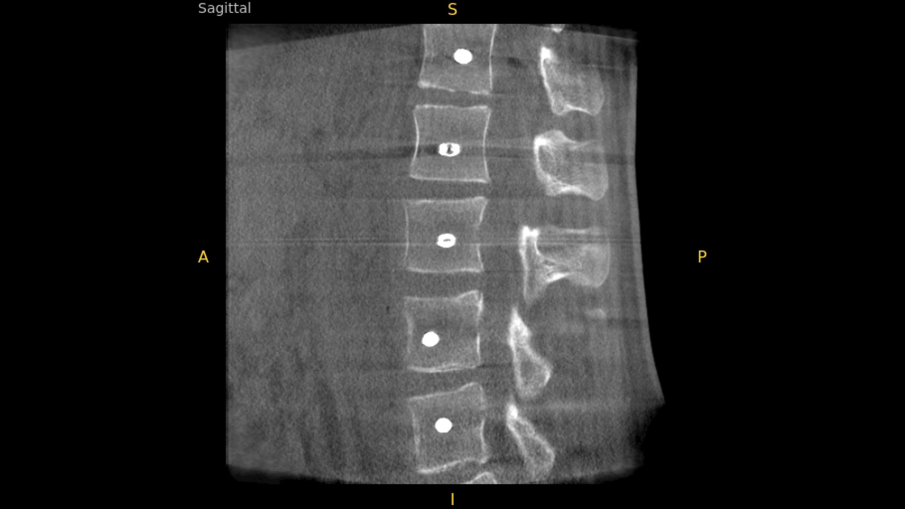 Product Media Carousel Image