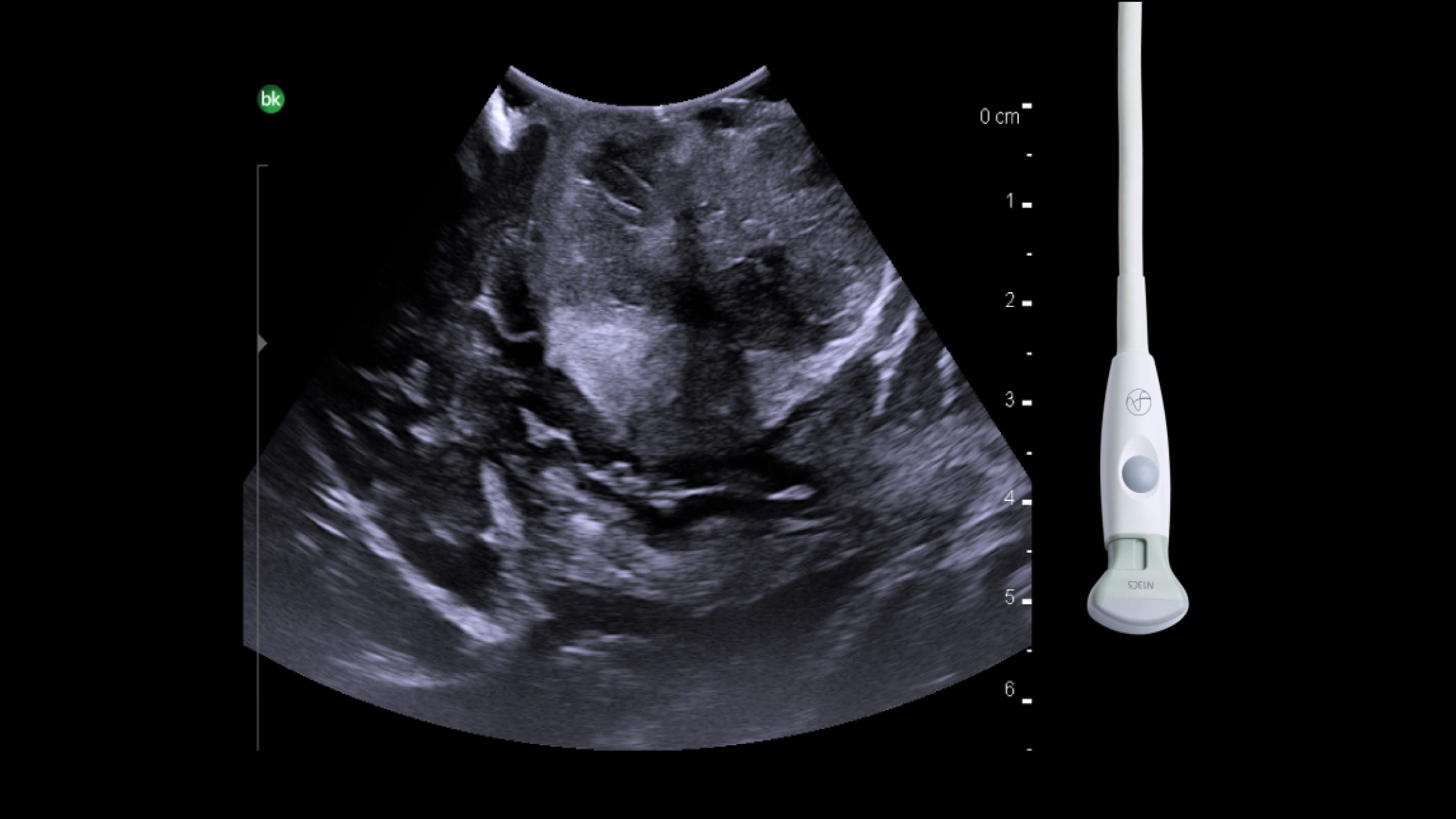 Product Media Carousel Image