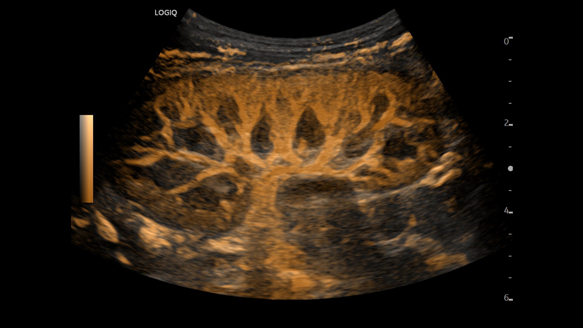 Product Media Carousel Image