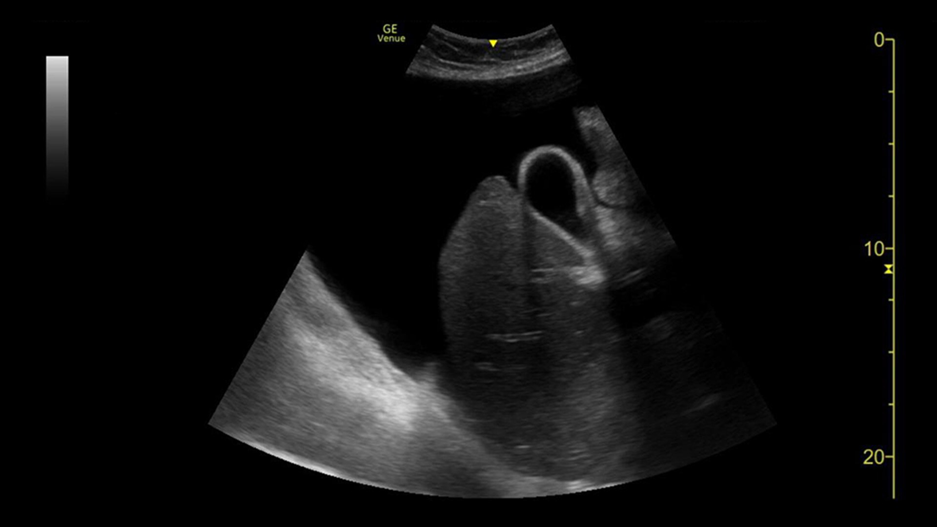 Product Media Carousel Image