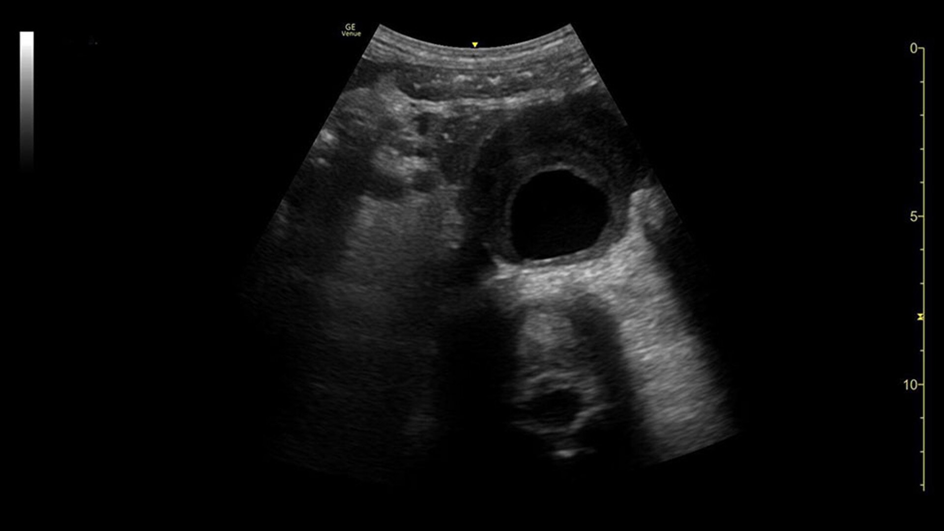 Product Media Carousel Image