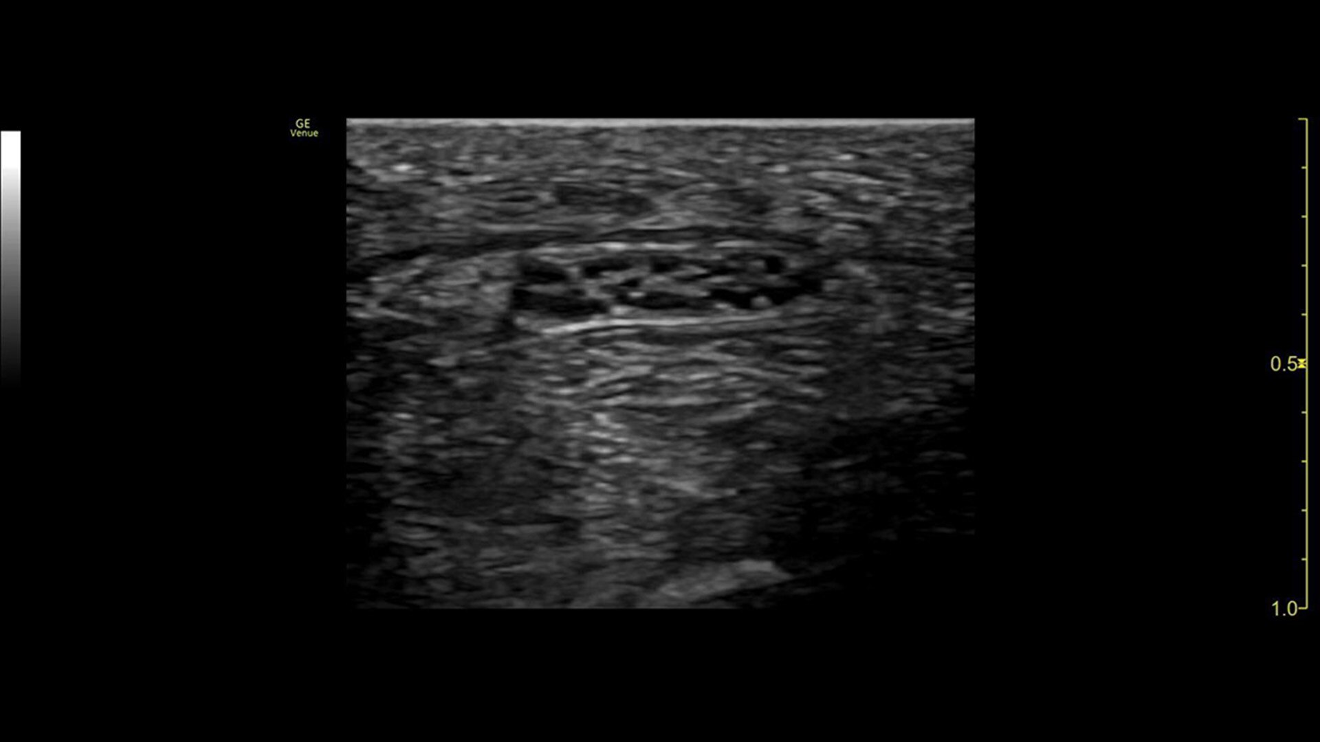 Product Media Carousel Image