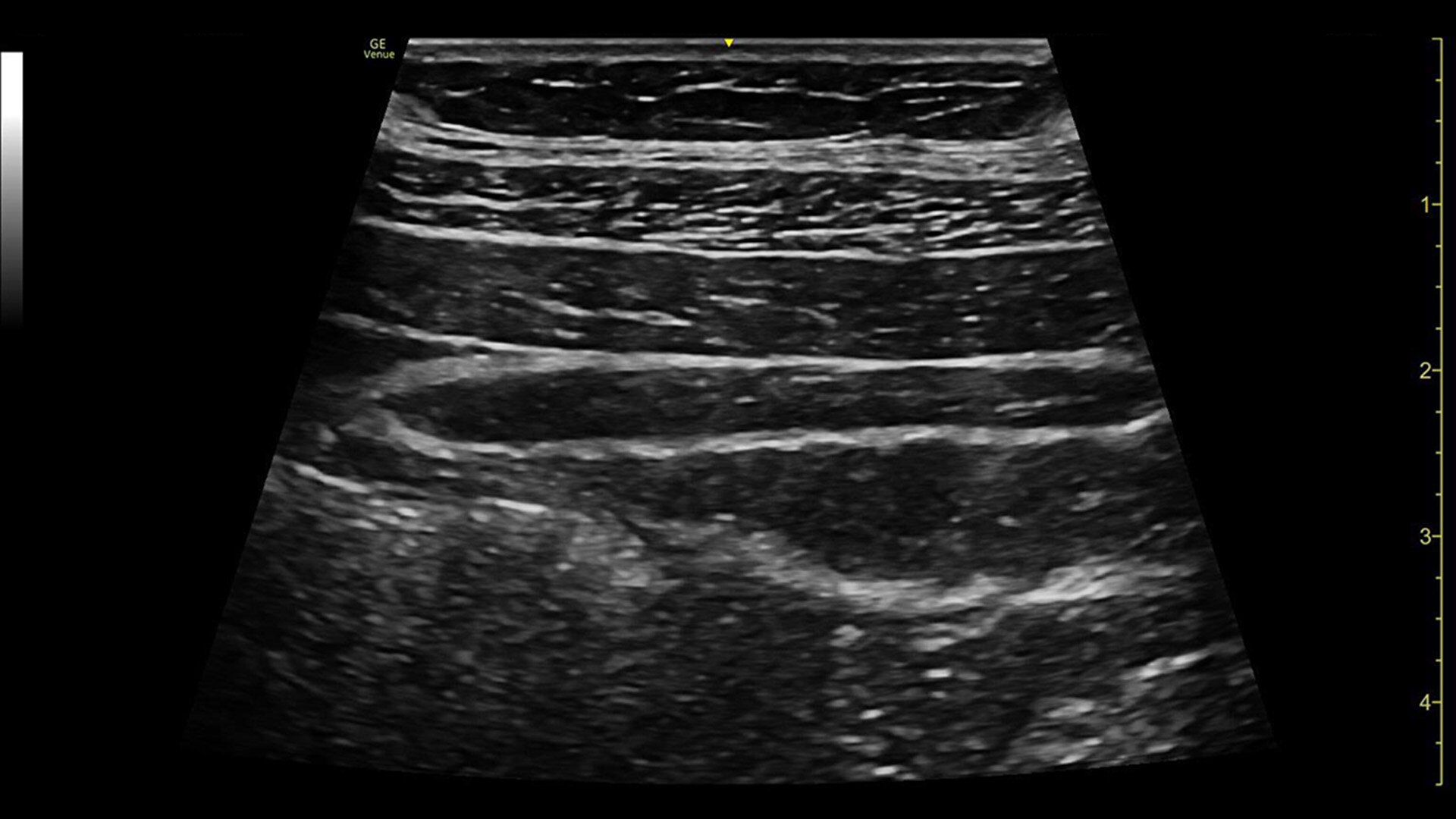 Product Media Carousel Image