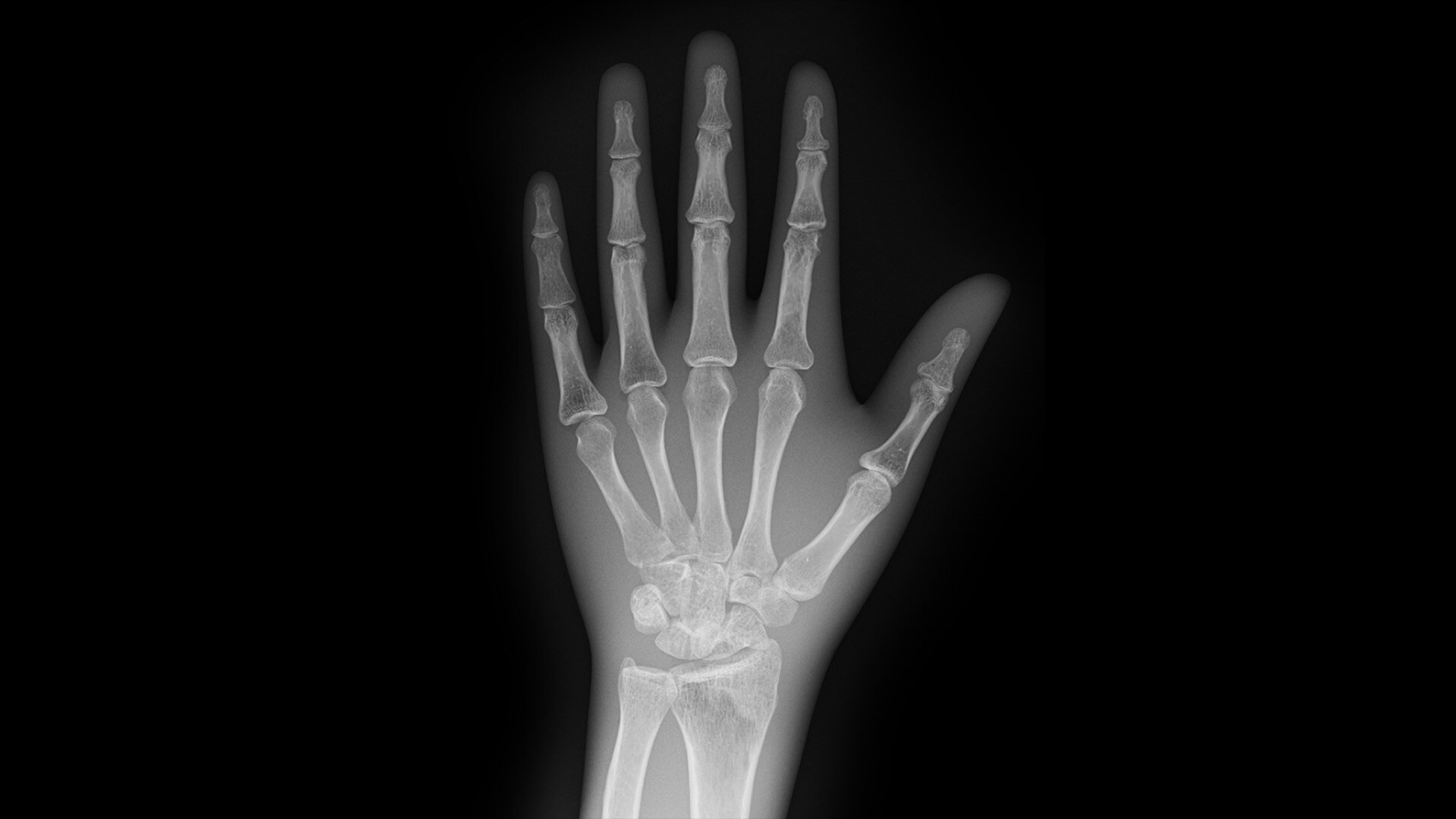 Product Media Carousel Image