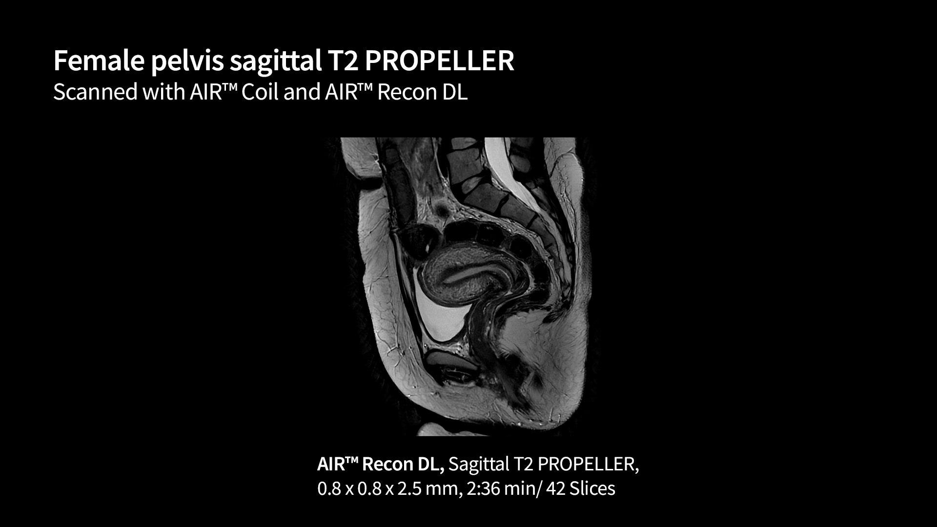 Product Media Carousel Image