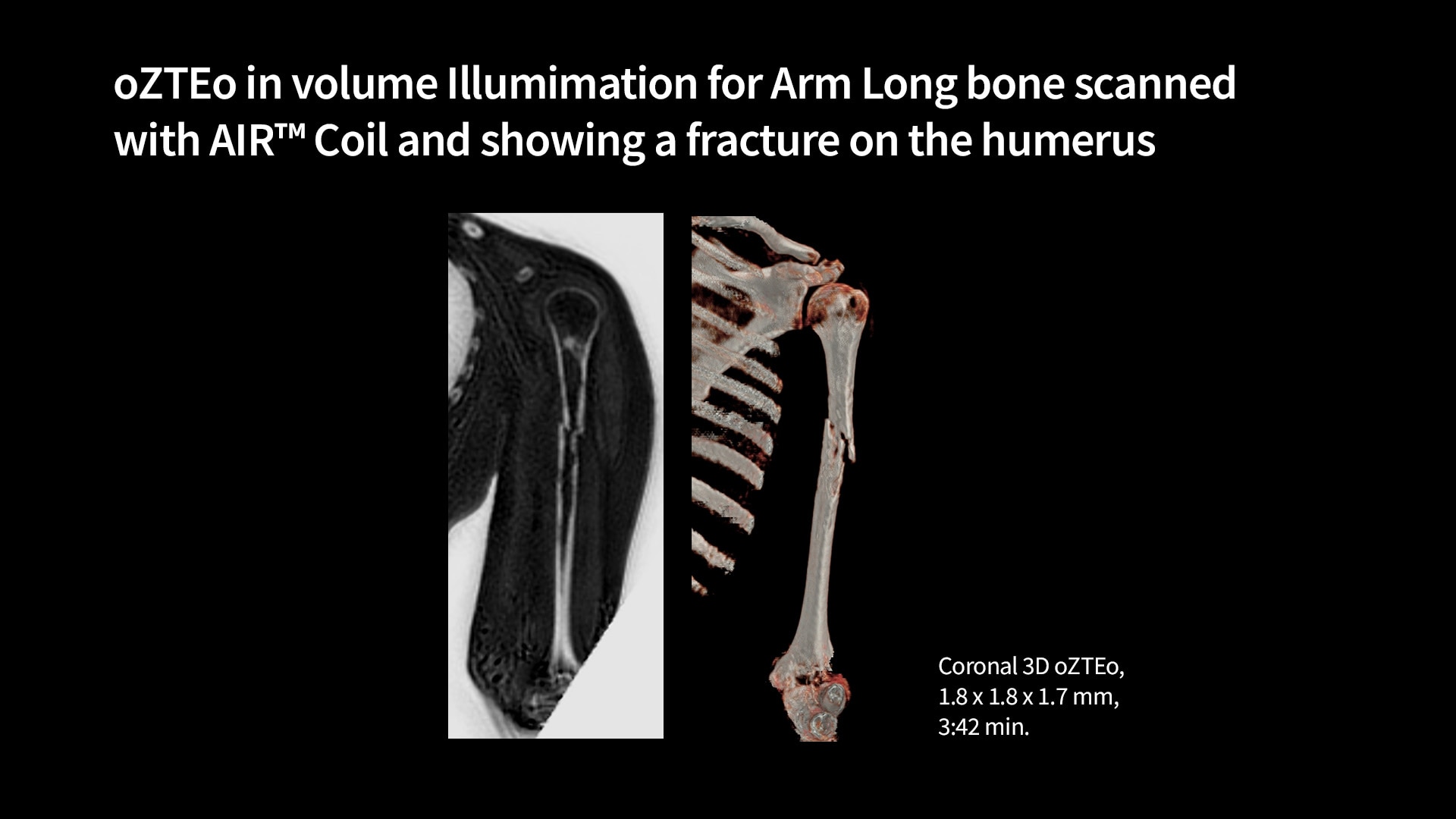 Product Media Carousel Image